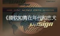 《腰软知青在年代