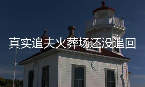 《预谋心动》全文在线阅读