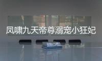 凤啸九天帝尊溺宠