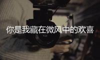 你是我藏在微风中