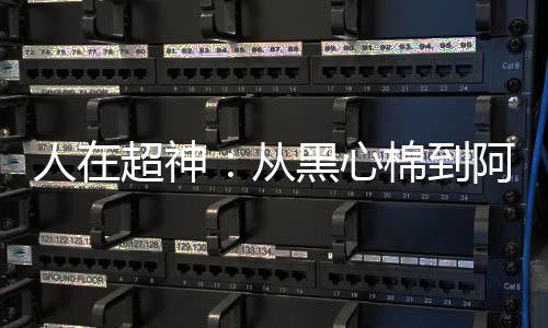 《我曝光前世惊炸全网》全文在线阅读