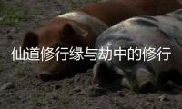 仙道修行缘与劫中