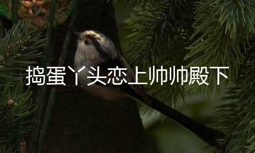 捣蛋丫头恋上帅帅殿下