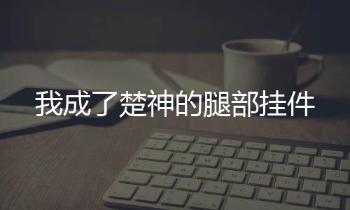 我成了楚神的腿部挂件