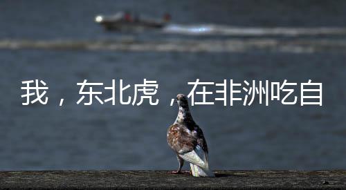 《治愈S级雄兽，小雌性是帝国珍宝》全文在线阅读