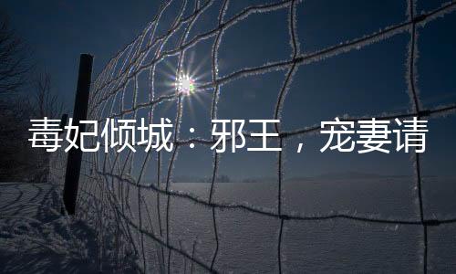 《宋檀记事》全文在线阅读