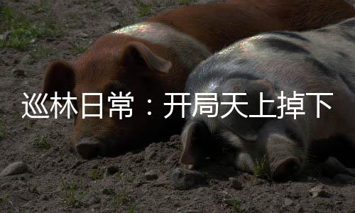 《全球贬值，我穿回来后带飞全家！》全文在线阅读