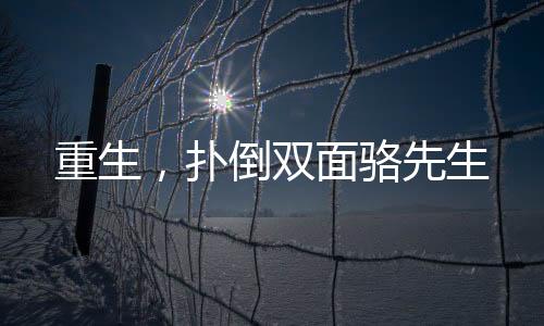《大神你人设崩了》全文在线阅读