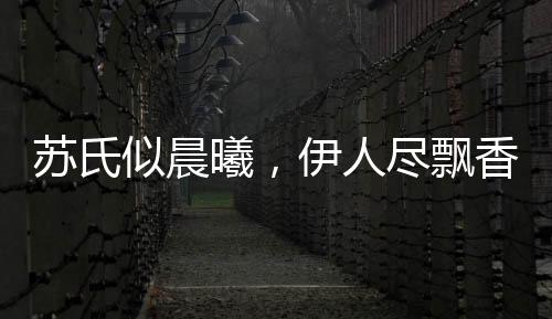 《快穿世界吃瓜第一线》全文在线阅读